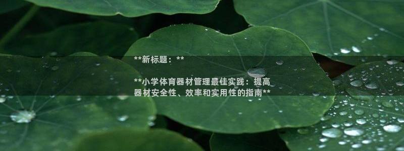 必一运动bsport