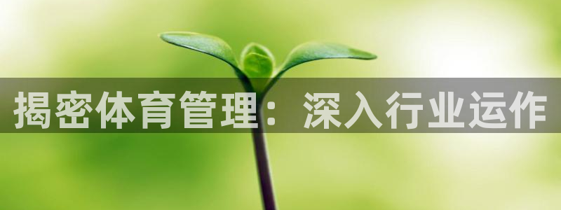 必一体育sportB