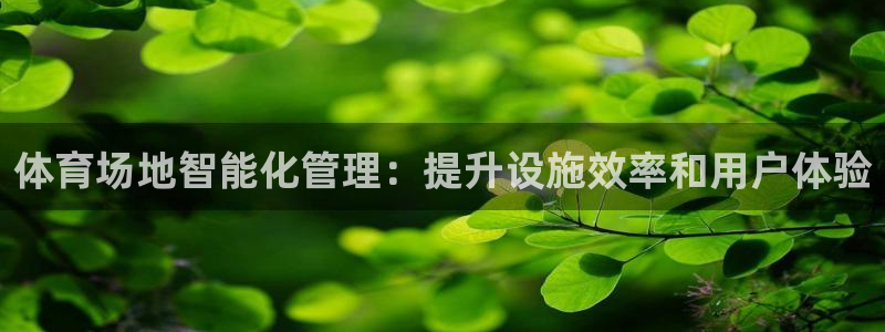 必一体育app平台下