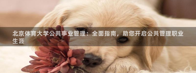 必一体育网页版登录：