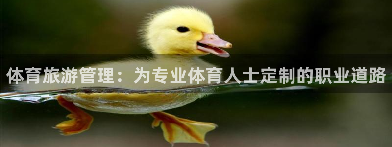 必一体育sport下