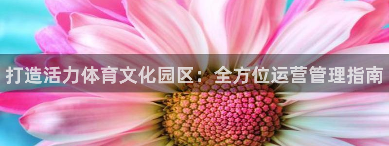 必一体育sport下
