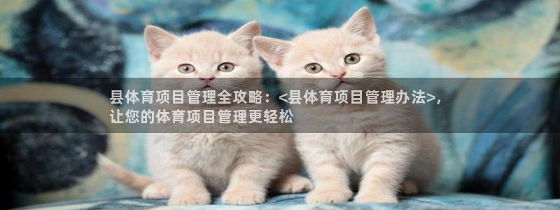必一运动B-Sport官方网站入口：县体育项目管理全攻略：<