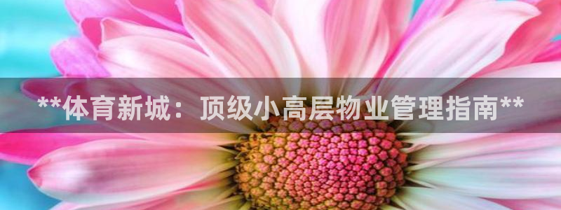 b体育必一运动网页版