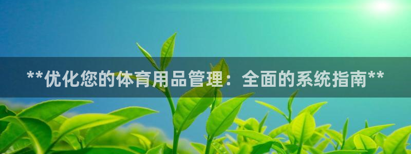 必一体育电子app：