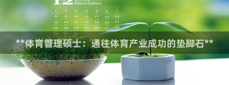 Bsport体育app必一：**体育管理硕士：通往体育产业成