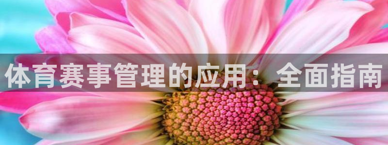 必一体育秀给网：体育
