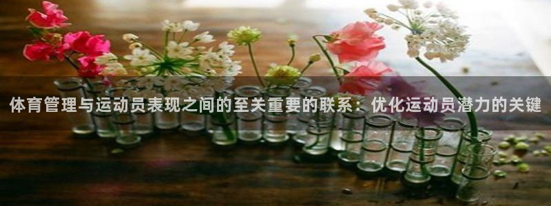 必一体育sport官