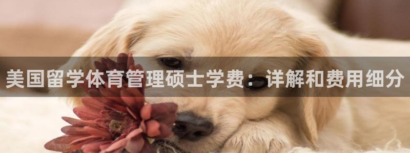 必一体育APP：美国