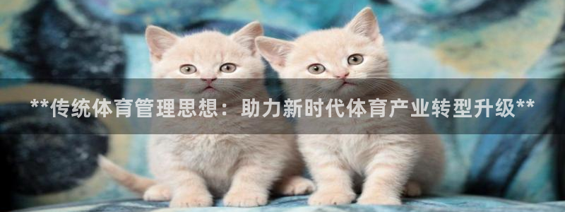 必一体育sport官方网站：**传统体育管理思想：助力新时代