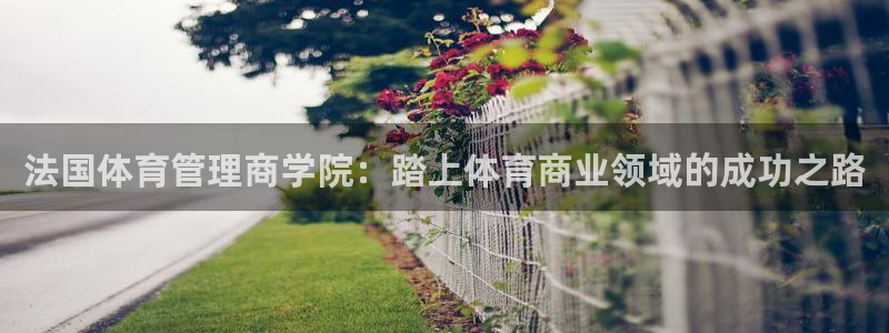 必一体育网站：法国体