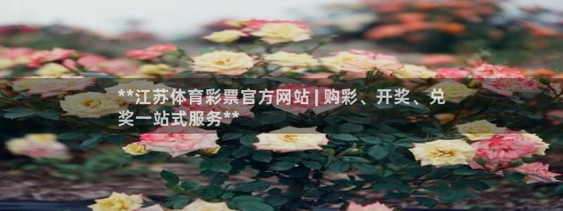 必一体育官网网站：*