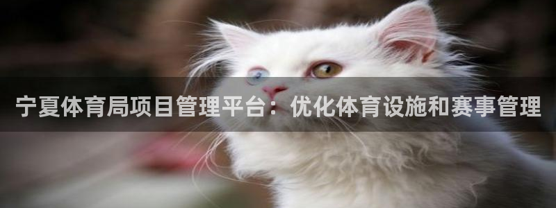 必一体育服下载最新版本更新内容：宁夏体育局项目管理平台：优化