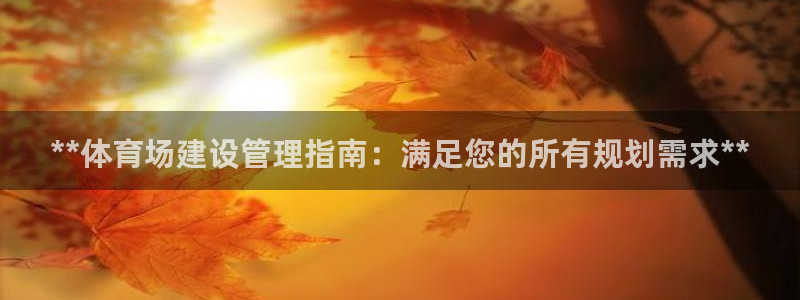 必一体育能提现大金额吗：**体育场建设管理指南：满足您的所有