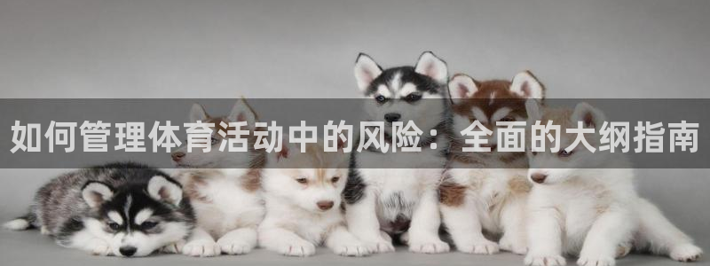 必一体育登录入口：如何管理体育活动中的风险：全面的大纲指南