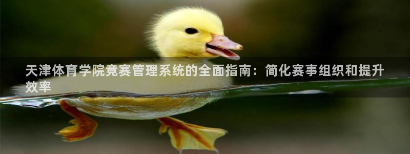 必一运动sport网