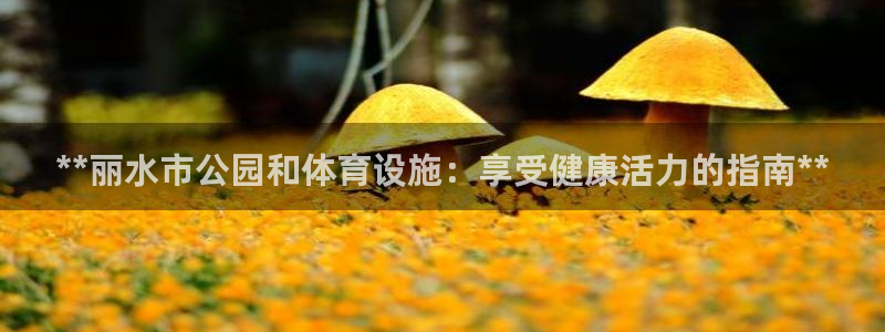 必一体育app平台下载：**丽水市公园和体育设施：享受健康活