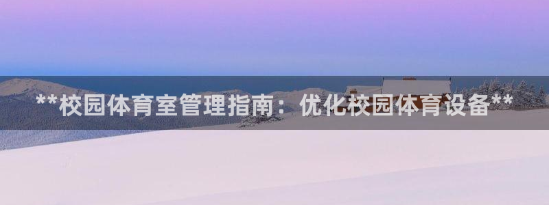 必一体育sportB