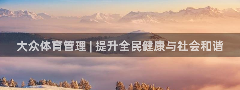 必一体育bsport