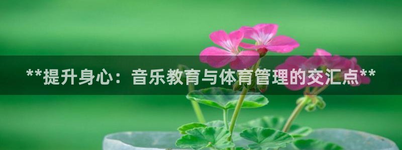 必一体育验证码：**