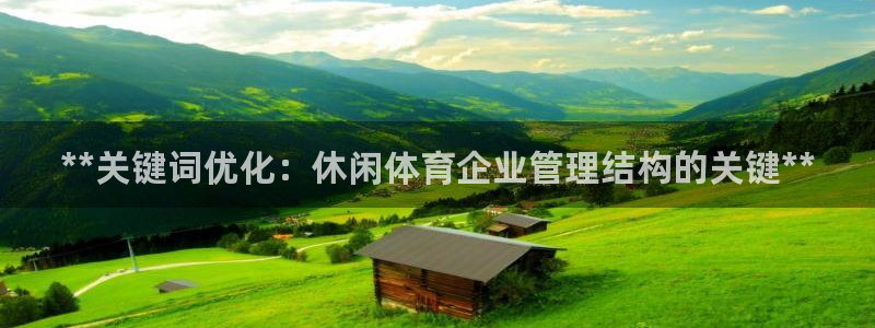 必一体育bsport