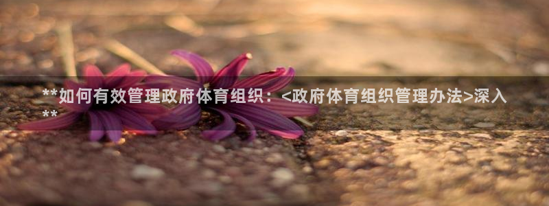 必一体育bsport