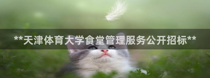 必一体育在线入口：*