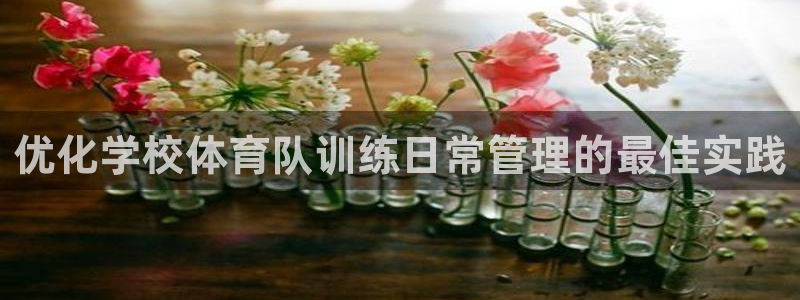 必一体育bsport