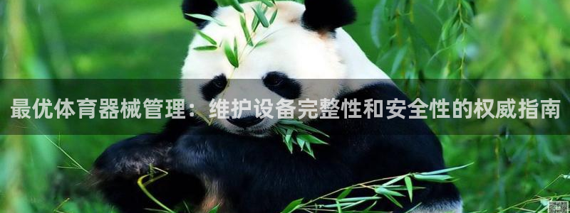 必一体育流水线是什么