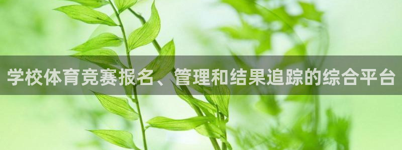 必一体育app官方：