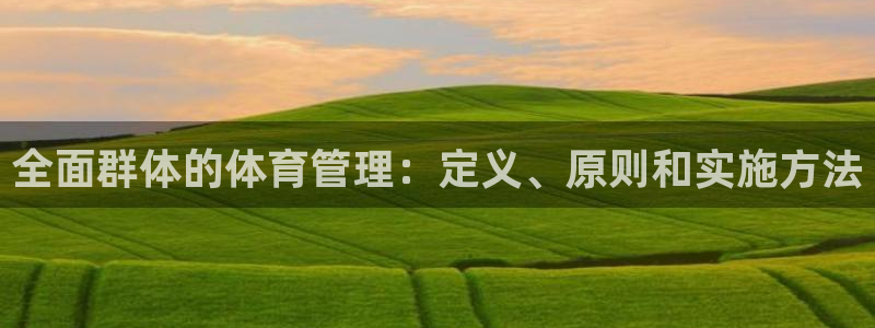 必一体育是啥：全面群