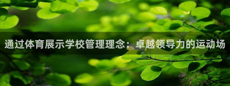 必一体育在线下载：通