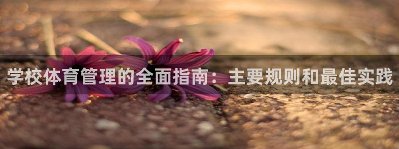 必一运动体：学校体育