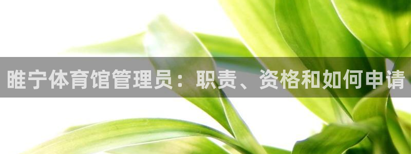 必一运动 b 体育素