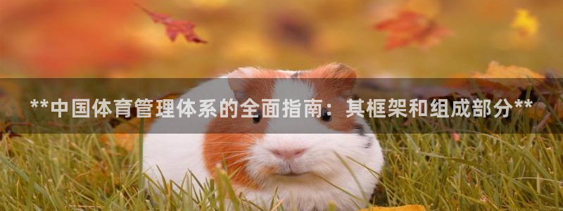 必一体育官方网站入口