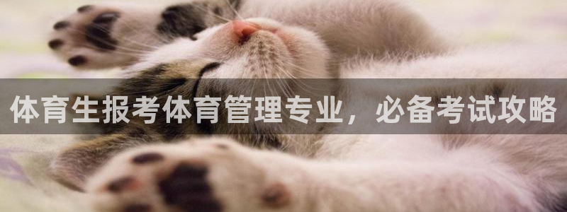 必一运动体：体育生报