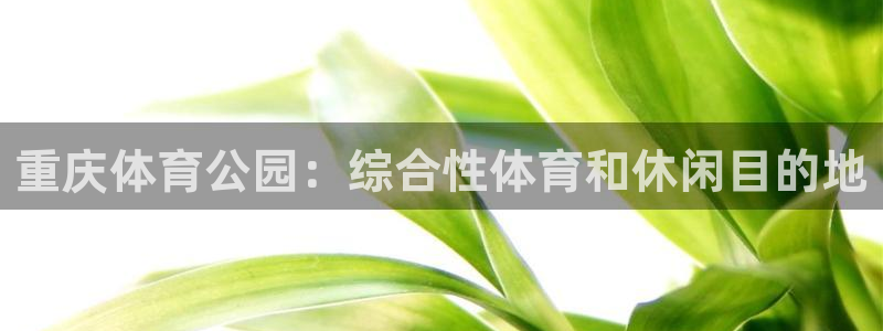 必一体育登录：重庆体