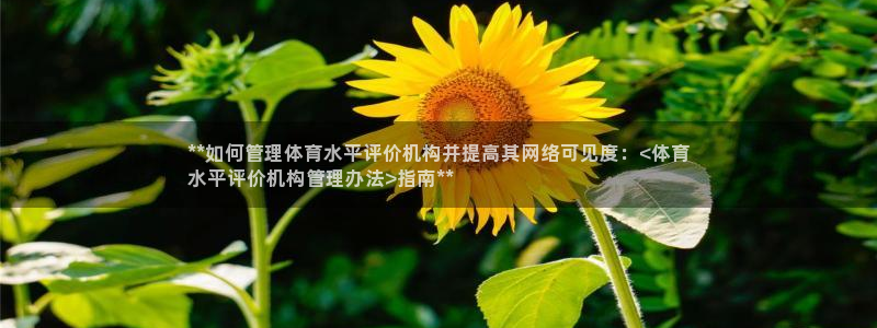 必一运动官网：**如