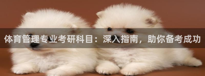 必一运动体：体育管理
