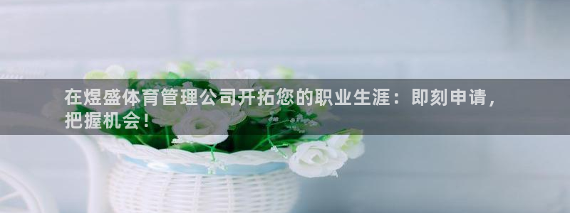 必一体育sport下