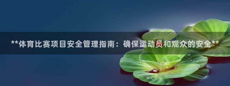 必一运动 b 体育素