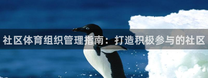 必一体育sport装