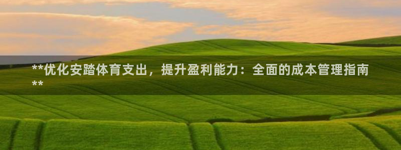 必一体育sport装机吧：**优化安踏体育支出，提升盈利能力