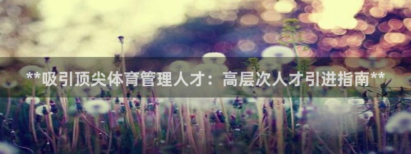 必一体育怎么下载：*