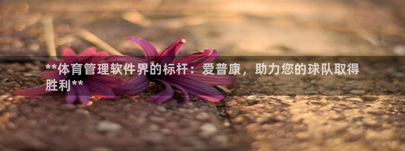 必一体育登陆：**体