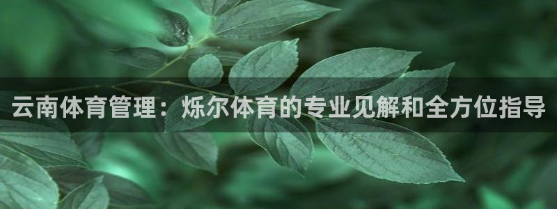 必一体育app官方正