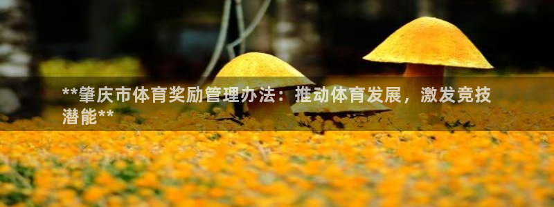 必一运动体育官网：*