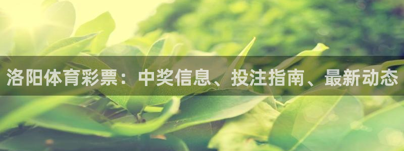 必一体育秀给网：洛阳