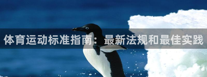 Bsport体育必一