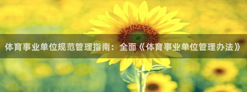 必一体育运动app下